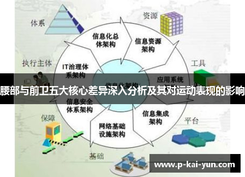 腰部与前卫五大核心差异深入分析及其对运动表现的影响 腰部与前卫五大核心差异深入分析及其对运动表现的影响