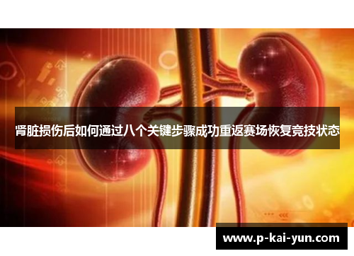 肾脏损伤后如何通过八个关键步骤成功重返赛场恢复竞技状态 肾脏损伤后如何通过八个关键步骤成功重返赛场恢复竞技状态