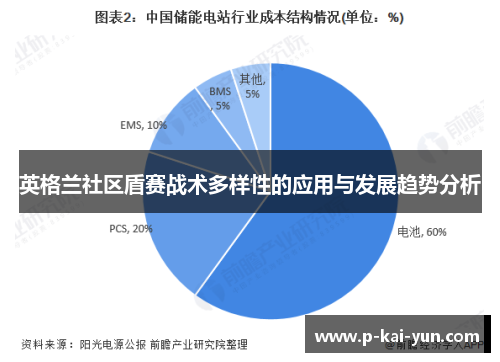 英格兰社区盾赛战术多样性的应用与发展趋势分析 英格兰社区盾赛战术多样性的应用与发展趋势分析
